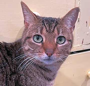 Photo of Victor (LE)