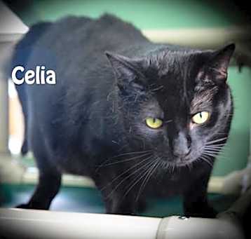 Photo of Celia
