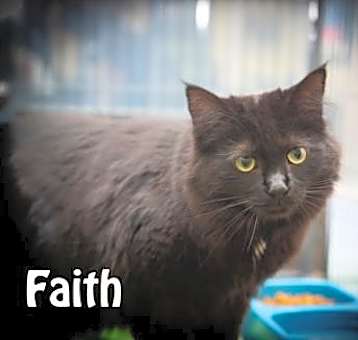 Photo of Faith