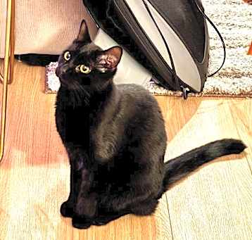 Photo of Quake