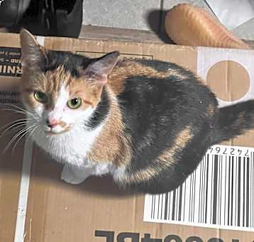 Photo of Maya