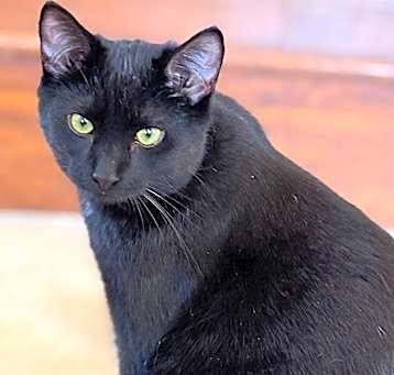 Photo of BOO