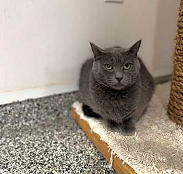 Photo of Noblewoman