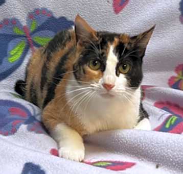 Photo of Adelle