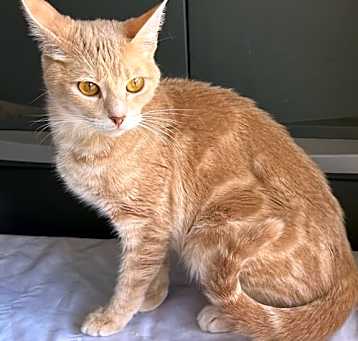Photo of Faytani