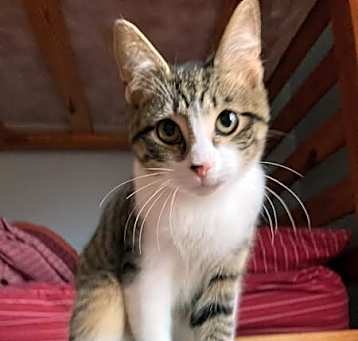 Photo of Lil Arturo