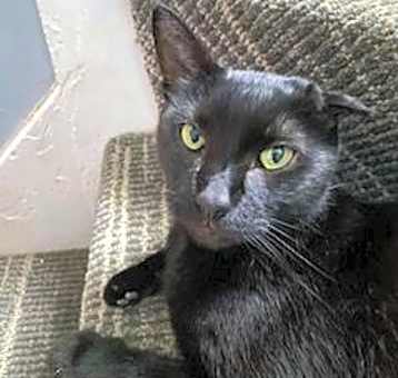 Photo of Uno