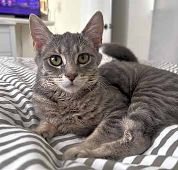 Photo of Moe