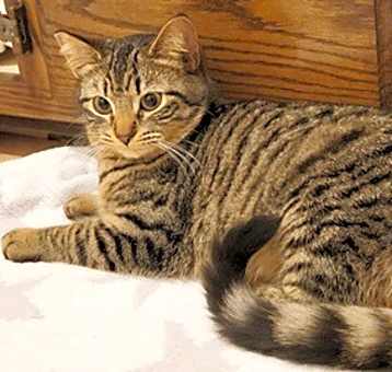Photo of CinderR