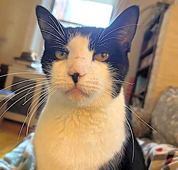 Photo of Spatch