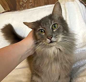 Photo of Yeti