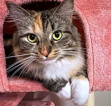 Photo of Mimi