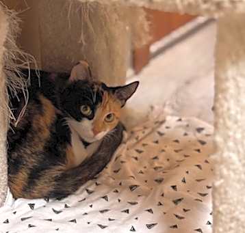 Photo of Bernadette