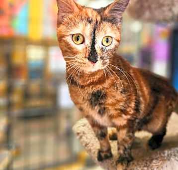 Photo of Gretel