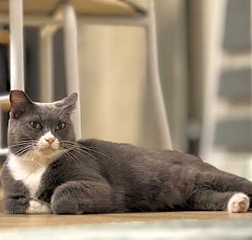 Photo of Thea