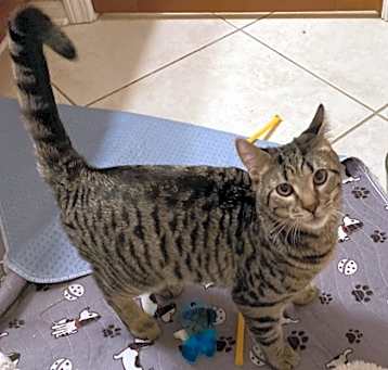 Photo of Linus