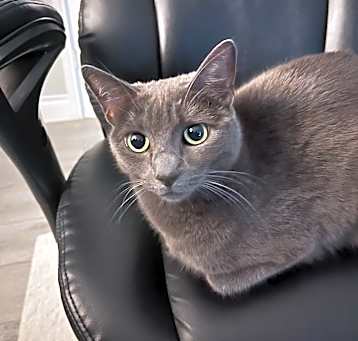 Photo of Juice