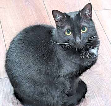 Photo of Mabel