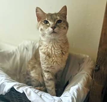 Photo of Ruthie