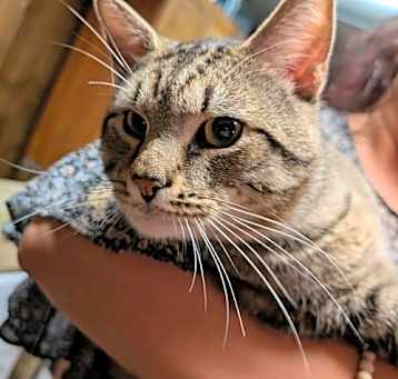 Photo of Jackson (25-201)