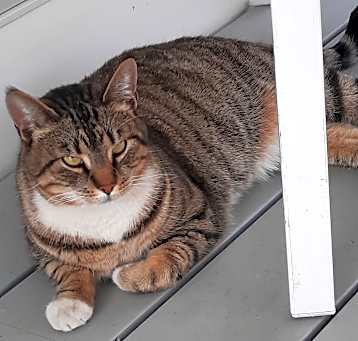 Photo of Bess
