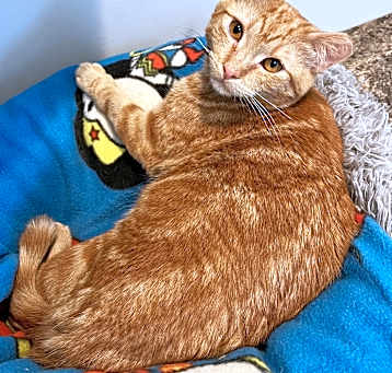 Photo of Sully