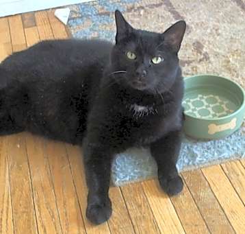 Photo of Bernie