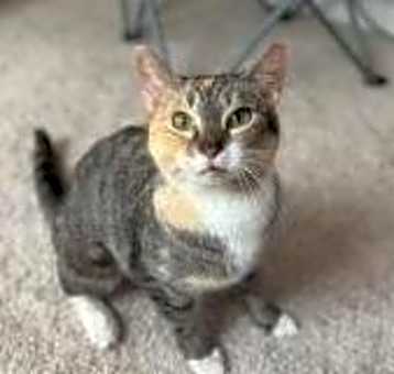 Photo of Alice