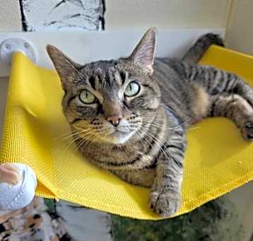 Photo of Luna