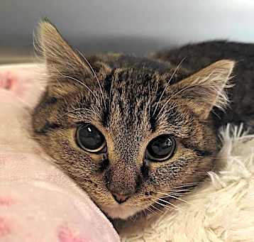 Photo of Esmerelda