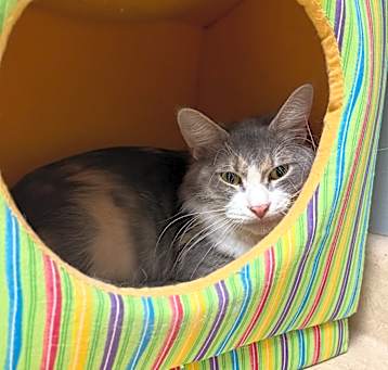 Photo of Zada