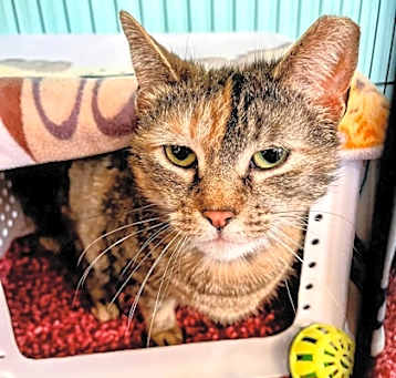 Photo of Wilma