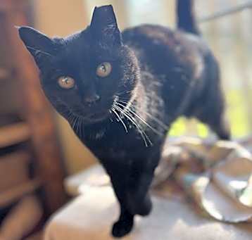 Photo of Arwen
