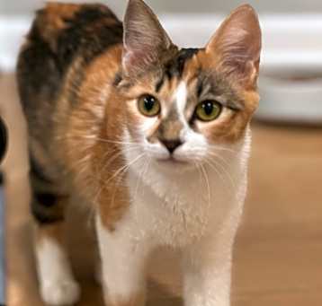 Photo of Astrid