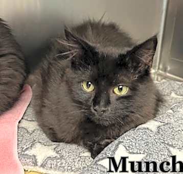 Photo of Munch