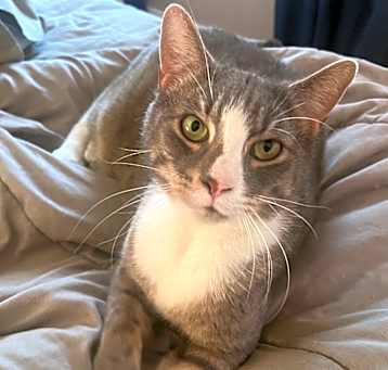 Photo of Alfred