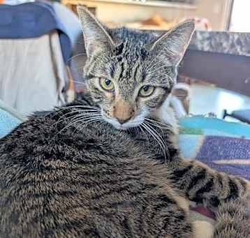 Photo of Socks