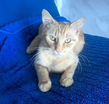 Photo of Erik