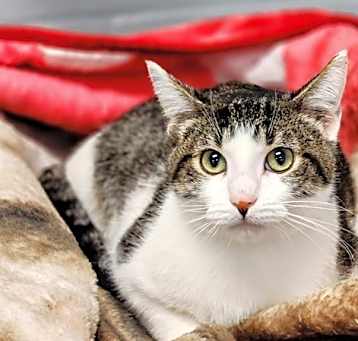 Photo of Oliver