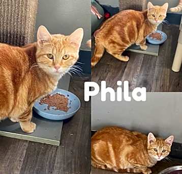 Photo of Phila