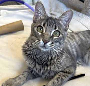 Photo of Quinnie