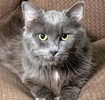 Photo of Jeffrey