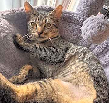 Photo of Berry (Tripod)