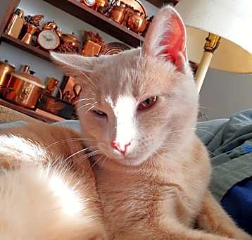 Photo of Rudy