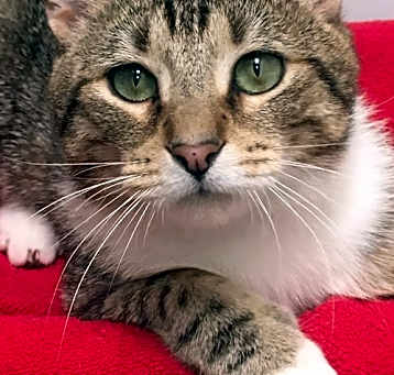 Photo of Derek