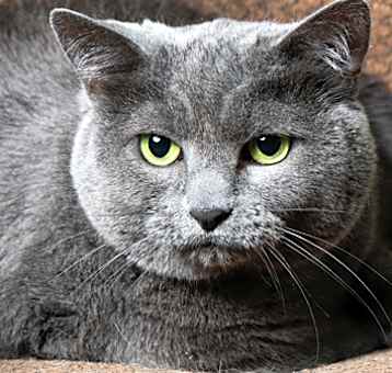 Photo of Matilda