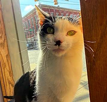 Photo of Bubbles