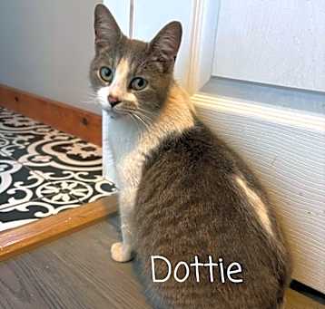 Photo of Dottie