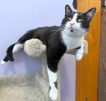 Photo of Phantom
