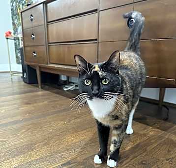 Photo of Raisin
